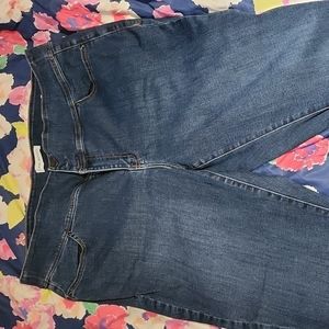 Lane Bryant High Rise Jegging